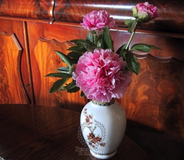 Peony Carnation Bouquet at peony nursery Peonyshop.com